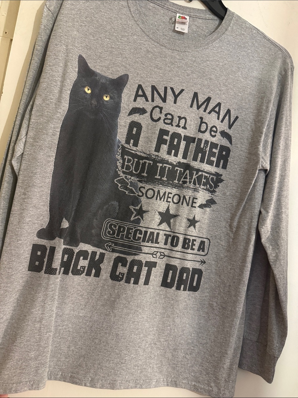 Fruit of the Loom Gray Long-Sleeve 'Black Cat Dad' Graphic Tee